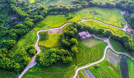 從化農(nóng)耕田緣休閑農(nóng)業(yè)、旅游信息化建設(shè)項目